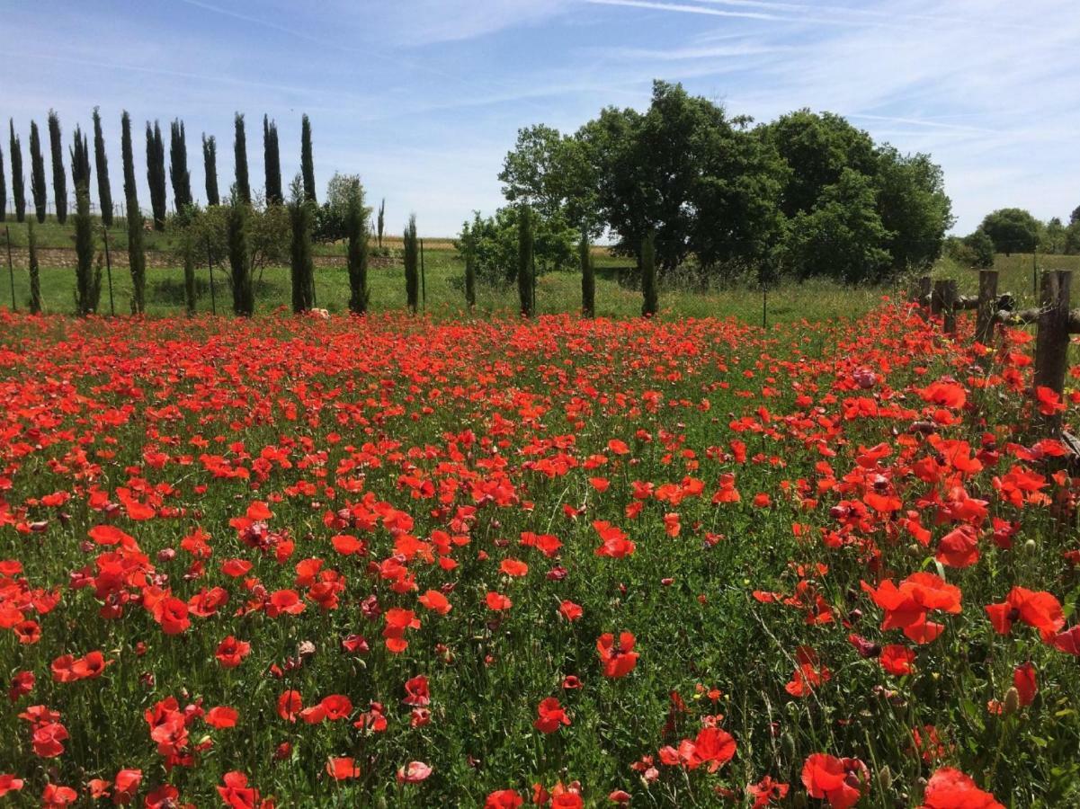 La Casa Del Fattore Monteriggioni Ngoại thất bức ảnh